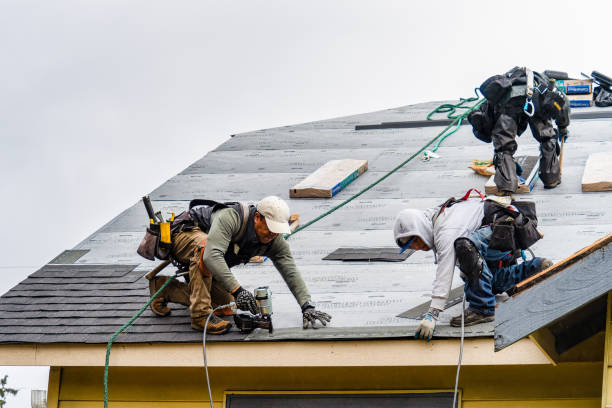Professional Gutter Installation technician working in Griswold, IA